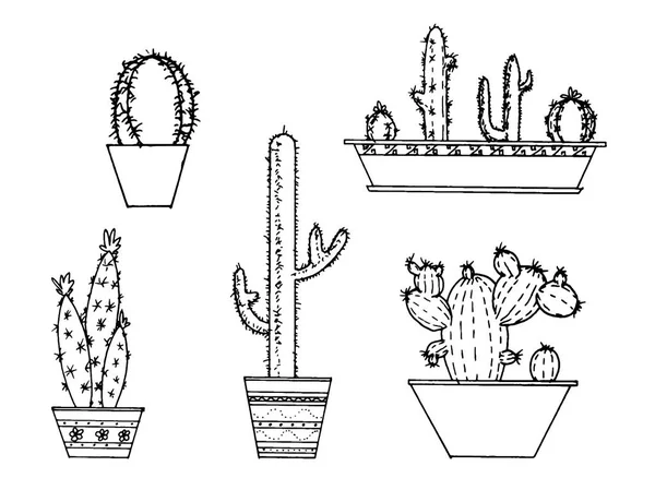 Conjunto vectorial de cactus dibujados a mano. Ilustración de bocetos. Diferentes cactos estilo monocromo . — Archivo Imágenes Vectoriales