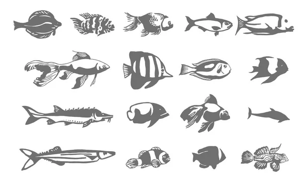 向量鱼例证的手绘的剪影在白色背景 — 图库矢量图片