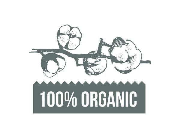 Algodón orgánico natural, conjunto de etiquetas de vectores de algodón puro. Dibujado a mano, iconos de estilo tipográfico o insignias, pegatinas, signos. Fondo blanco aislado — Vector de stock