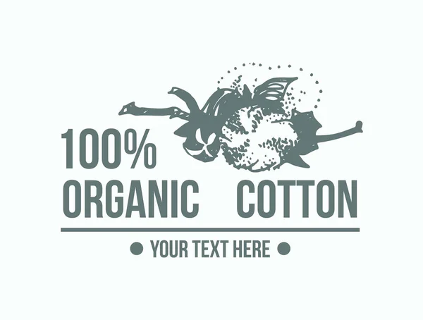 Algodón Orgánico Natural Conjunto Etiquetas Vectores Algodón Puro Dibujado Mano — Vector de stock