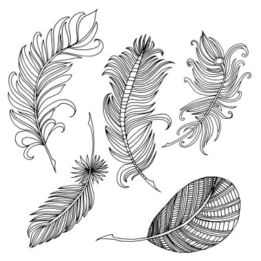 El çizilmiş kroki beyaz arka plan üzerinde soyut tüy illüstrasyon vektör