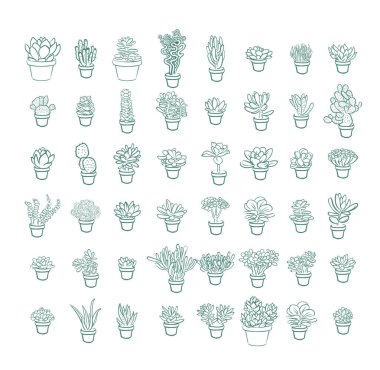 Set of and drawn line succulent plant isolated on white background. Vector illustration clipart
