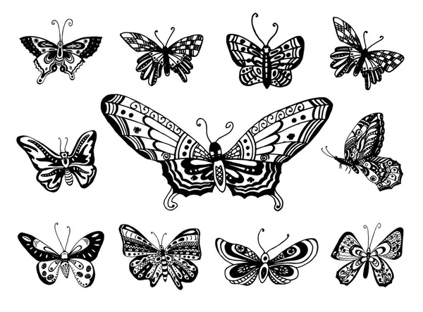 Vector Dibujo dibujado a mano de la ilustración de la mariposa sobre fondo blanco — Archivo Imágenes Vectoriales