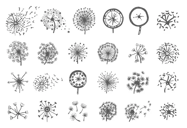 向量蒲公英花例证的向量手绘剪影在白色背景 — 图库矢量图片