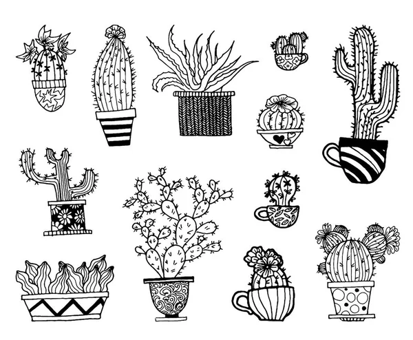 Conjunto vectorial de cactus dibujados a mano. Ilustración de bocetos. Diferentes cactos estilo monocromo . — Archivo Imágenes Vectoriales