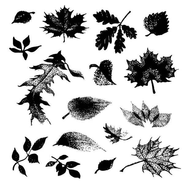 Векторный рисунок листьев вручную на белом фоне — стоковый вектор