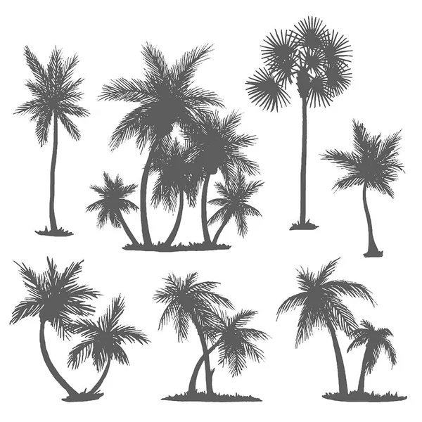 Kézzel rajzolt vázlat palm logó illusztrációja a fehér háttér vektor — Stock Vector