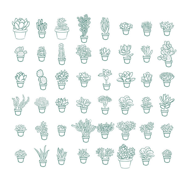 Set of and drawn line succulent plant isolated on white background. Vector illustration