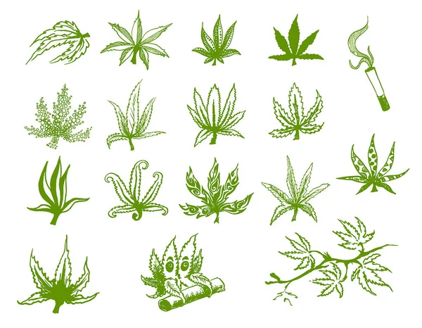Vector Mão Desenhado Ícone Ilustração Conjunto Folha Cannabis Cânhamo Verde — Vetor de Stock