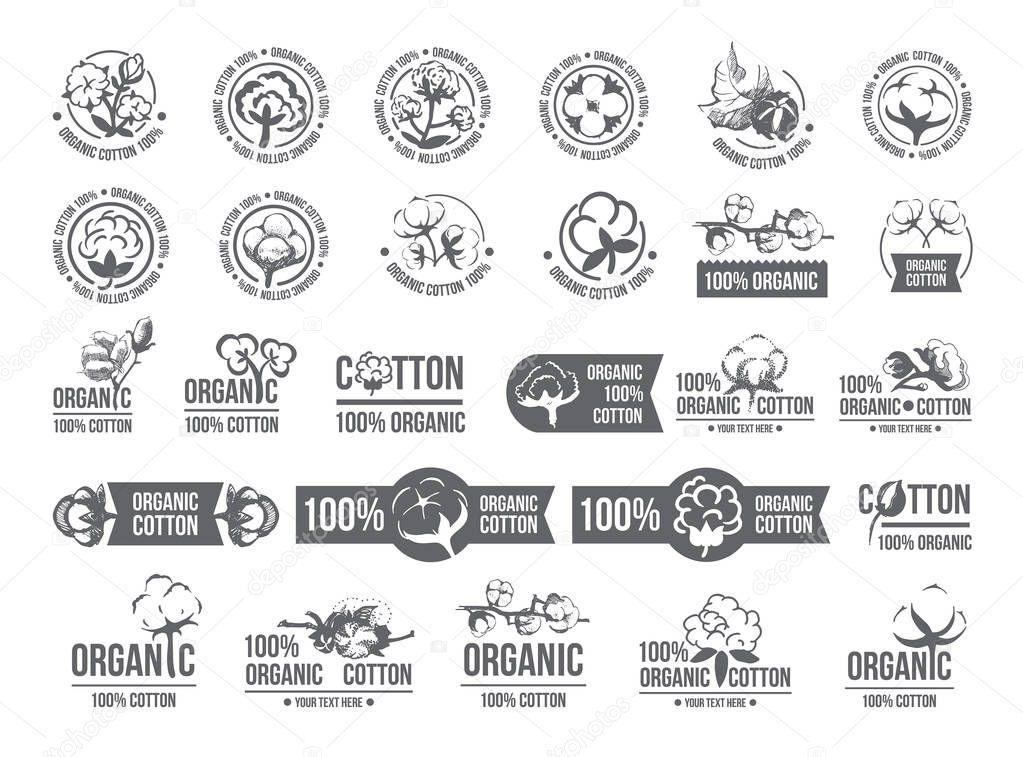 Natural organic cotton, pure cotton vector labels set. Hand drawn, typographic style icons or badges, stickers, signs. Isolated on white background