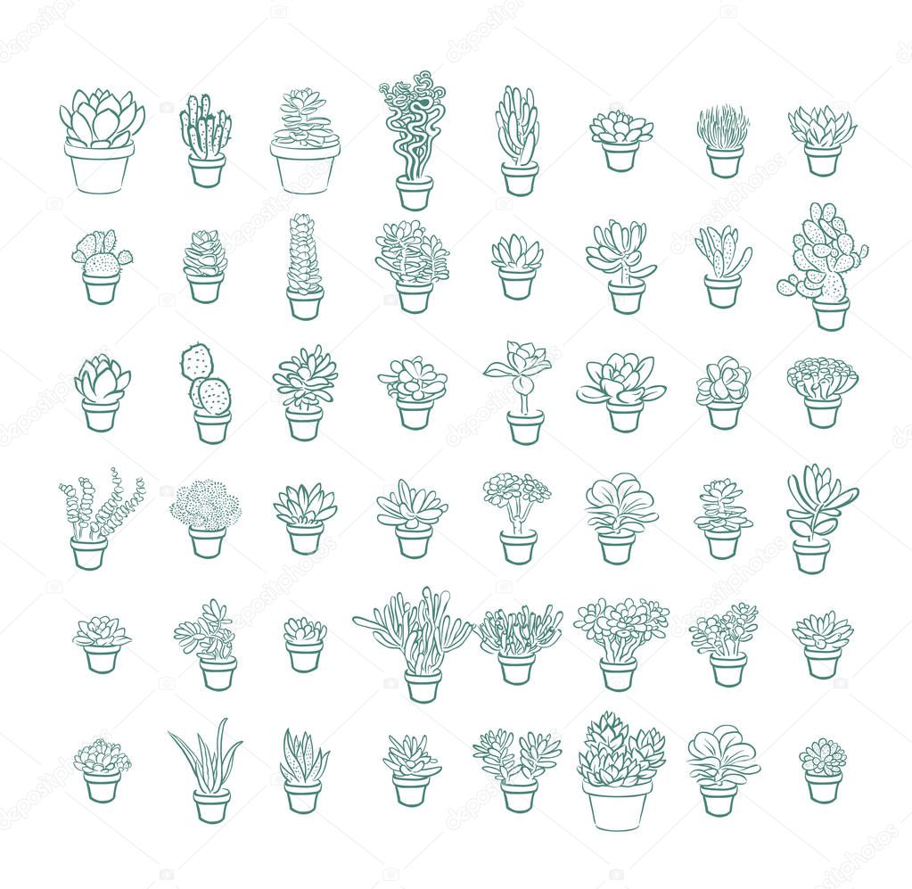 Set of and drawn line succulent plant isolated on white background. Vector illustration