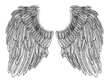 Vektör simge illüstrasyon seti beyaz arka plan üzerinde izole kanat