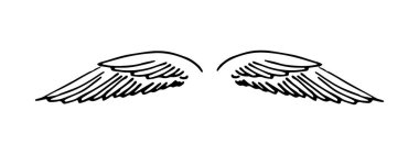 Vektör el çizimi kanatları beyaz zemin üzerine çekilmiş..