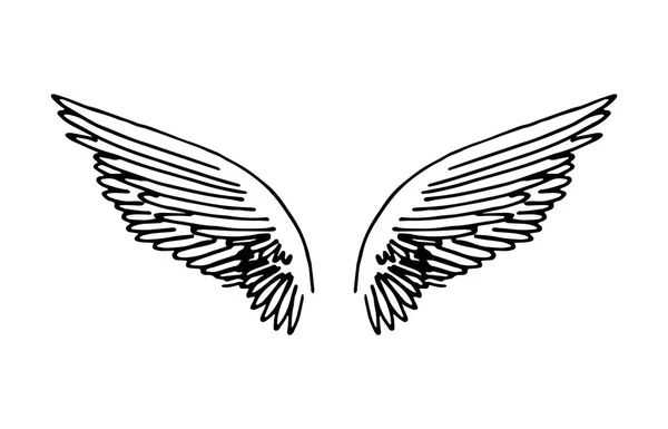 Illustration vectorielle dessinée à la main des ailes sur fond blanc . — Image vectorielle