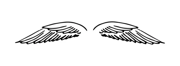 Illustration vectorielle dessinée à la main des ailes sur fond blanc . — Image vectorielle