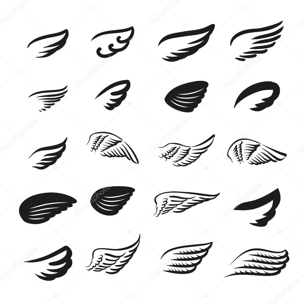 Vector illustration concept of wings logo. Icon on white background
