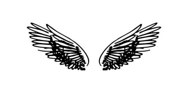 Vektör el çizimi kanatları beyaz zemin üzerine çekilmiş..