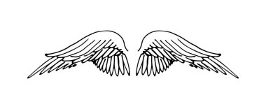 Vektör el çizimi kanatları beyaz zemin üzerine çekilmiş..