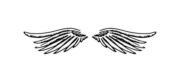 Illustration vectorielle dessinée à la main des ailes sur fond blanc . — Image vectorielle