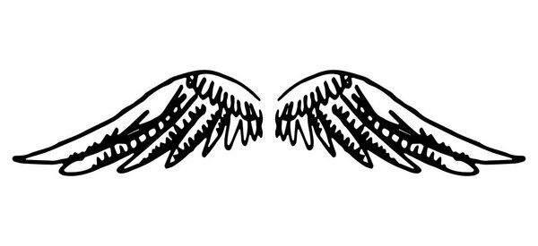 Vector hand drawn illustration of wings on white background.