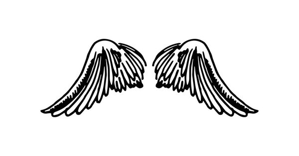 Vector hand drawn illustration of wings