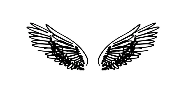 Vektor handgezeichnete Illustration von Flügeln auf weißem Hintergrund. — Stockvektor