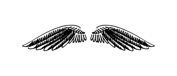 Vetor mão desenhada ilustração de asas sobre fundo branco . — Vetor de Stock