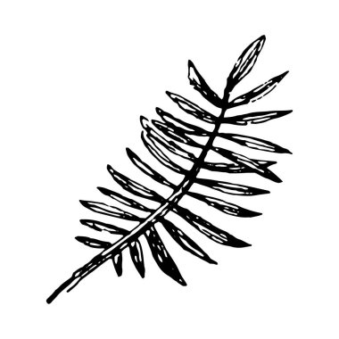 Vektör illüstrasyon kavramı tropikal yaprak müzik enstrümanı. Beyaz arka planda siyah