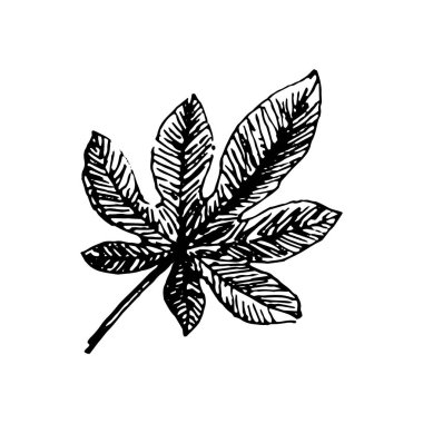 Vektör illüstrasyon kavramı tropikal yaprak müzik enstrümanı. Beyaz arka planda siyah