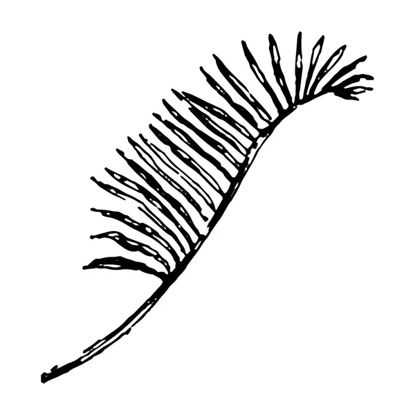 Концепция векторной иллюстрации музыкального инструмента тропических листьев. Черный на белом фоне — стоковый вектор