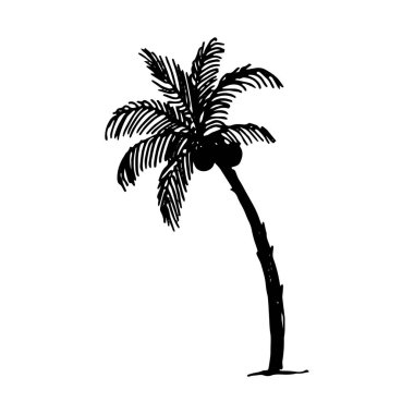 El palm logo resimde beyaz zemin üzerine çizilmiş kroki vektör