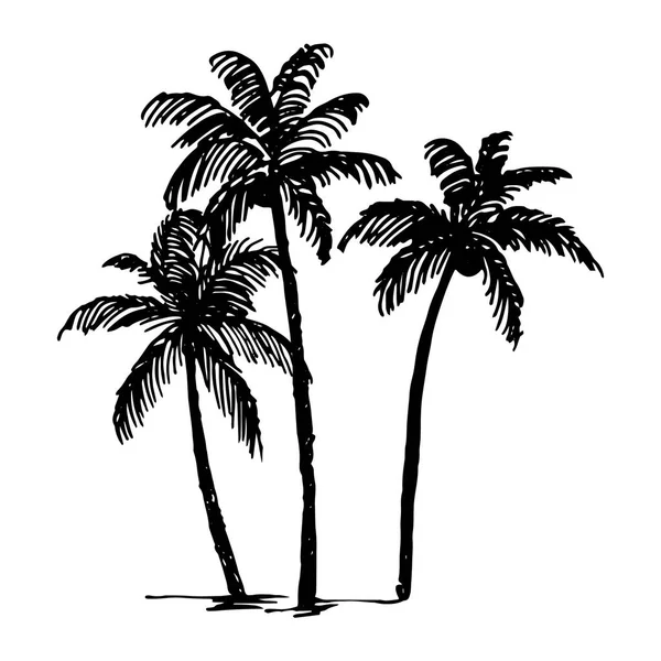 El palm logo resimde beyaz zemin üzerine çizilmiş kroki vektör
