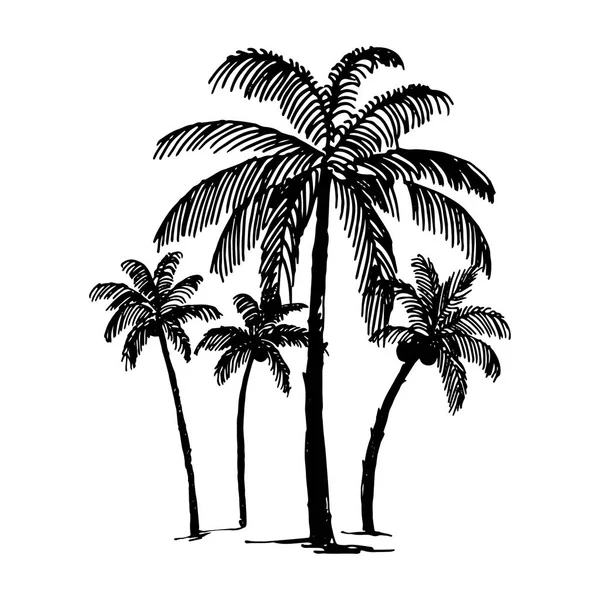 El palm logo resimde beyaz zemin üzerine çizilmiş kroki vektör — Stok Vektör