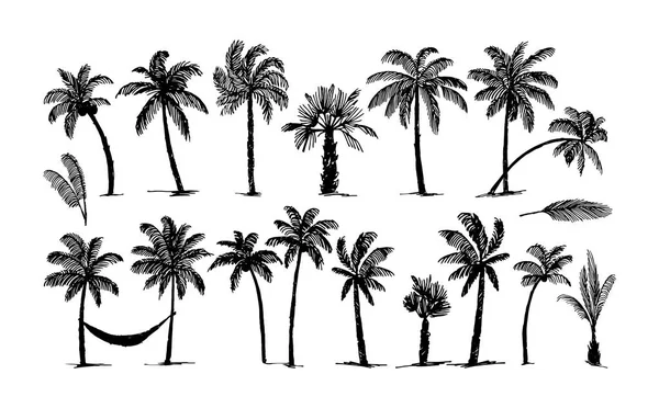 Vektor handgezeichnete Skizze der Palm Logo Illustration auf weißem Hintergrund — Stockvektor