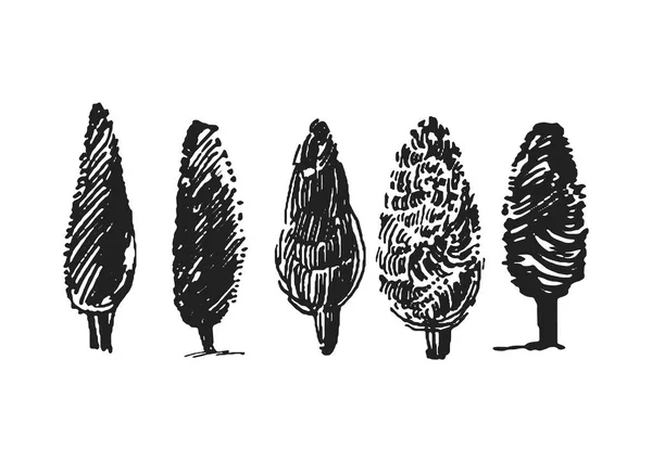 Vector Esboço desenhado à mão da ilustração da árvore sobre fundo branco — Vetor de Stock