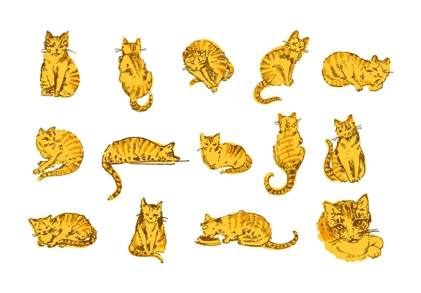Conceito de ilustração vetorial da ilustração do afogamento da mão do gato no fundo branco — Vetor de Stock