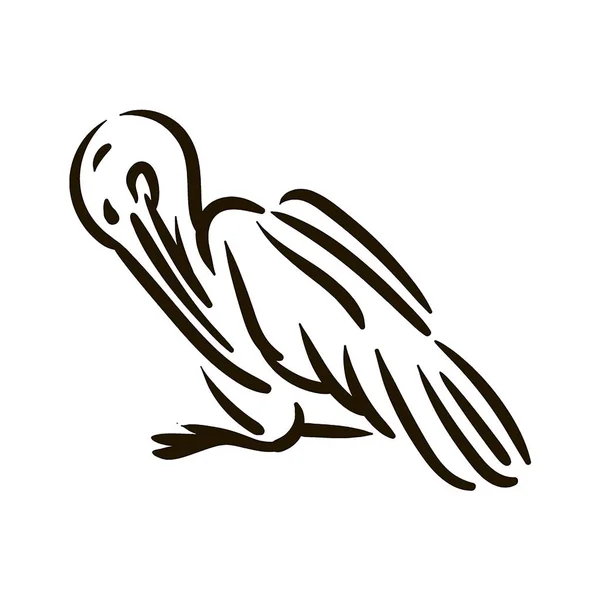 Vektor handritad fågel linje siluett handritad illustration på vit bakgrund. — Stock vektor