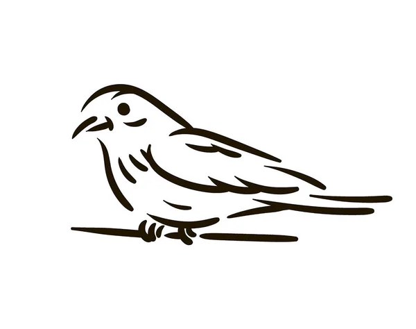 Vektor handritad fågel linje siluett handritad illustration på vit bakgrund. — Stock vektor