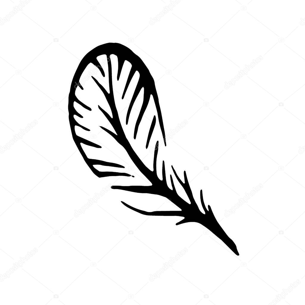 Vector hand drawn Witch and magic feather item illustration on white background.