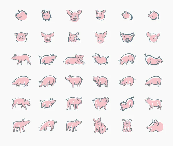 Ícone de esboço de porco definido para web, mobile e infográficos. Ícone de porco desenhado à mão. Ícone vetorial de porco. Ícone de porco isolado no fundo branco . — Vetor de Stock