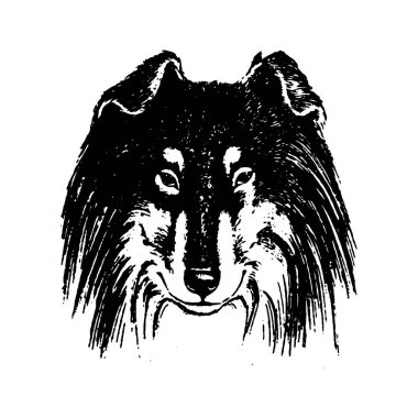 Köpek kömür ocağı vintage illüstrasyon vektör el çekilmiş