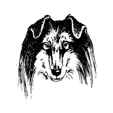 Köpek kömür ocağı vintage illüstrasyon vektör el çekilmiş