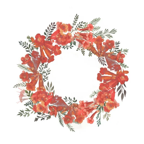 Елементи дизайну ілюстрація запрошення з червоною квіточкою каміс на білому тлі — стокове фото