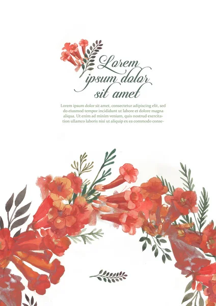 Návrhové prvky pozvání obrázku s červenými kamsis květina na bílém pozadí — Stock fotografie