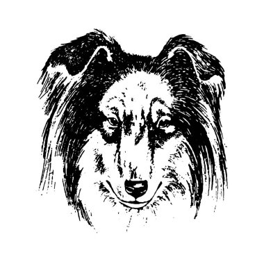 Köpek kömür ocağı vintage illüstrasyon vektör el çekilmiş