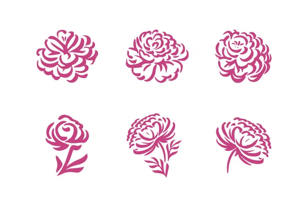 Silhouette vettoriali di fiori di peonia disegnati a mano isolati su sfondo bianco illustrazione — Vettoriale Stock