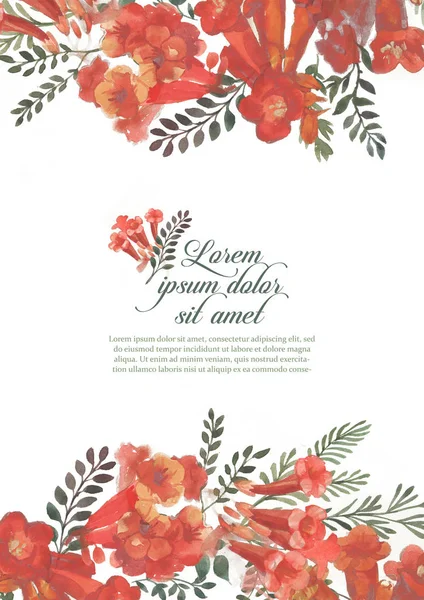 白い背景の赤い kamsis 花とデザイン要素の招待状図 — ストック写真