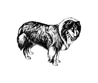 Köpek kömür ocağı vintage illüstrasyon vektör el çekilmiş