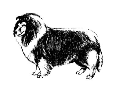 Köpek kömür ocağı vintage illüstrasyon vektör el çekilmiş