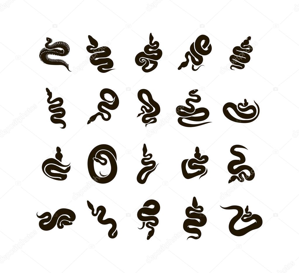 Vector hand drawn snake sign symbol illustration